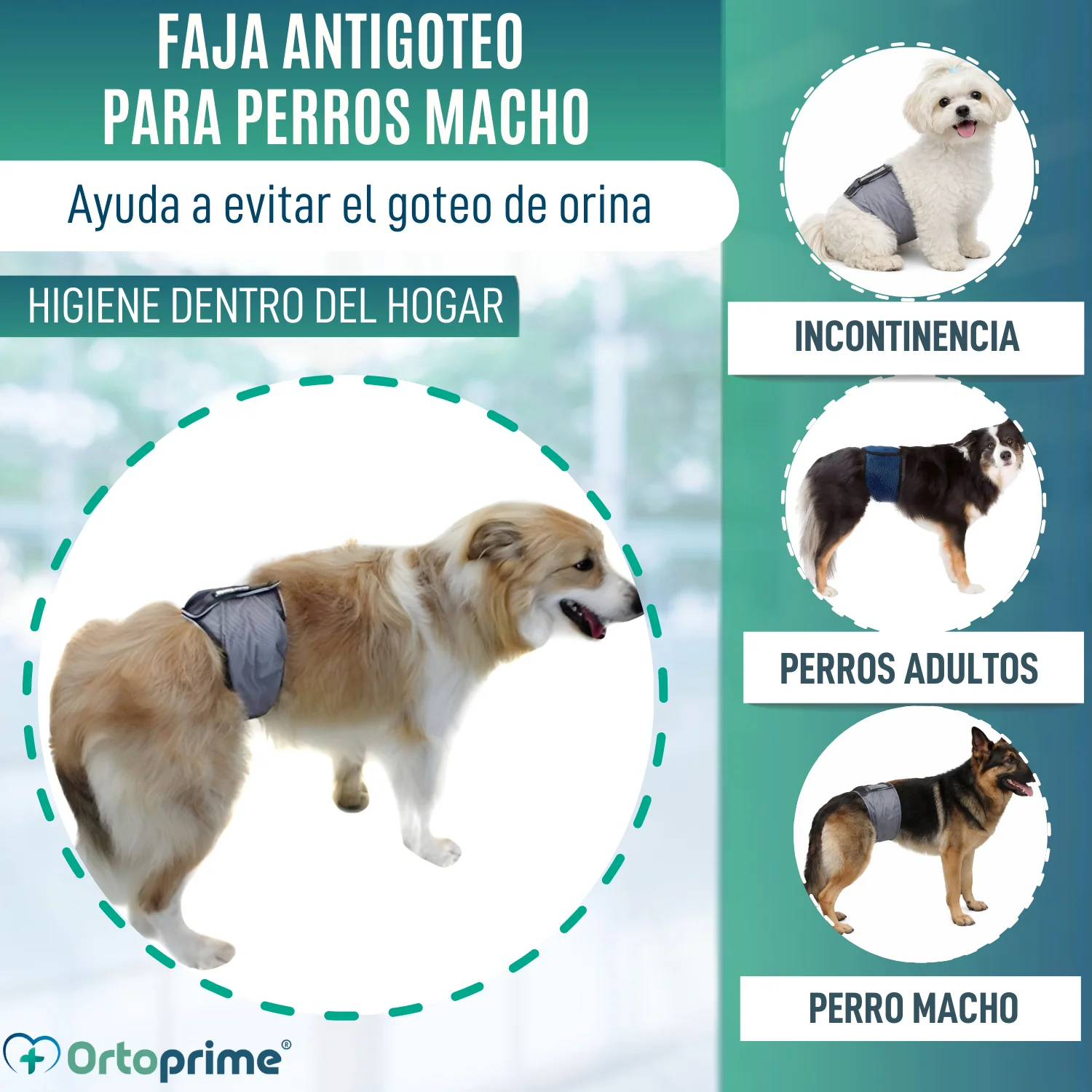 Imagen del producto 3
