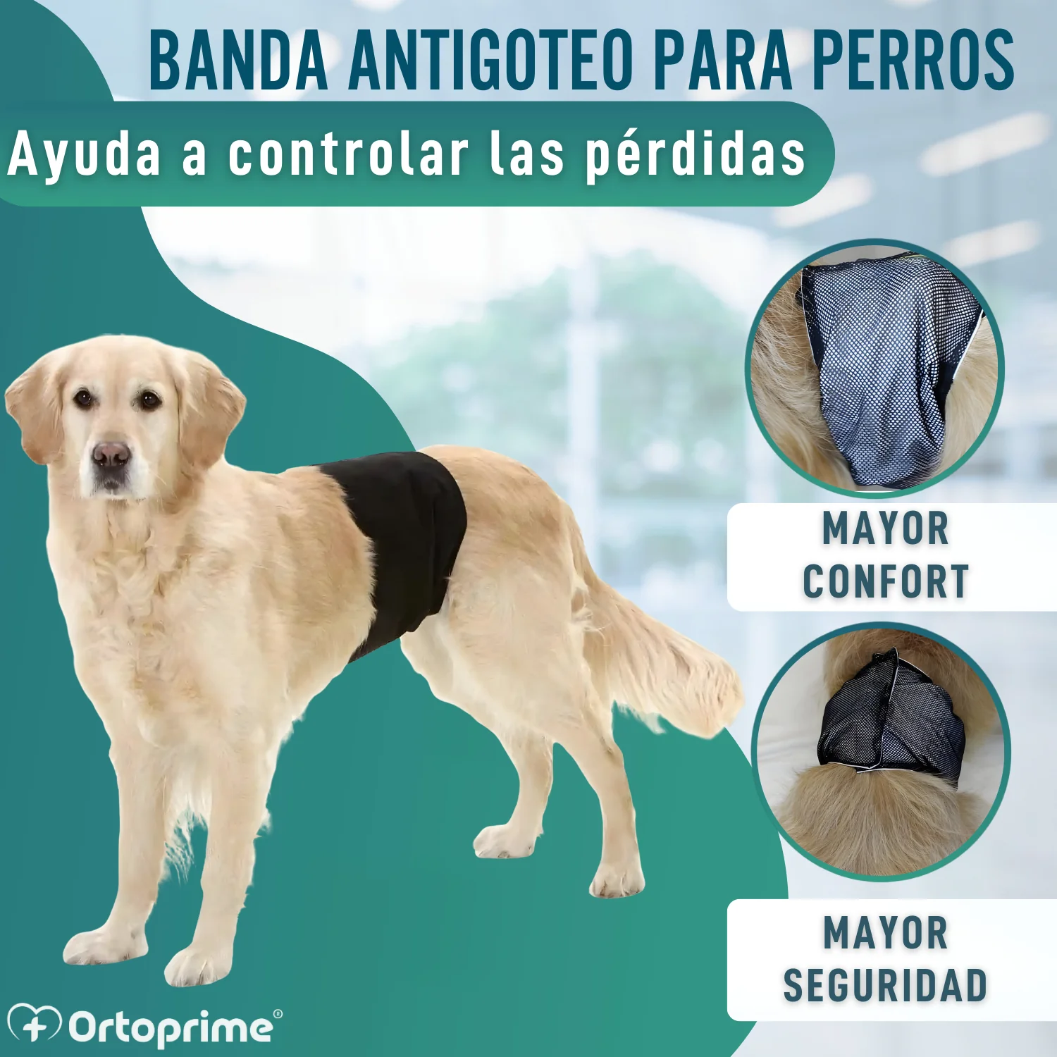 Imagen del producto 4