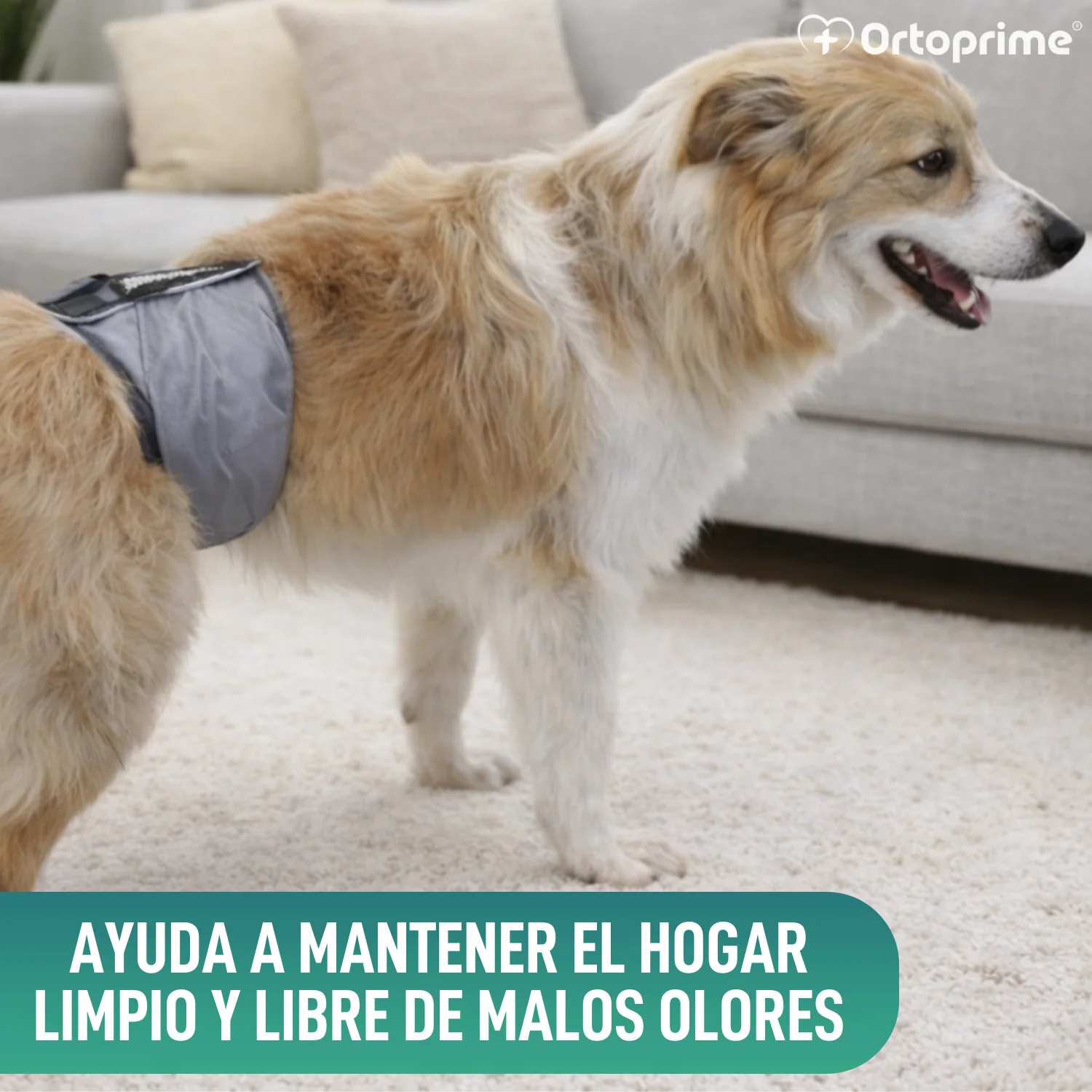 Imagen del producto 5