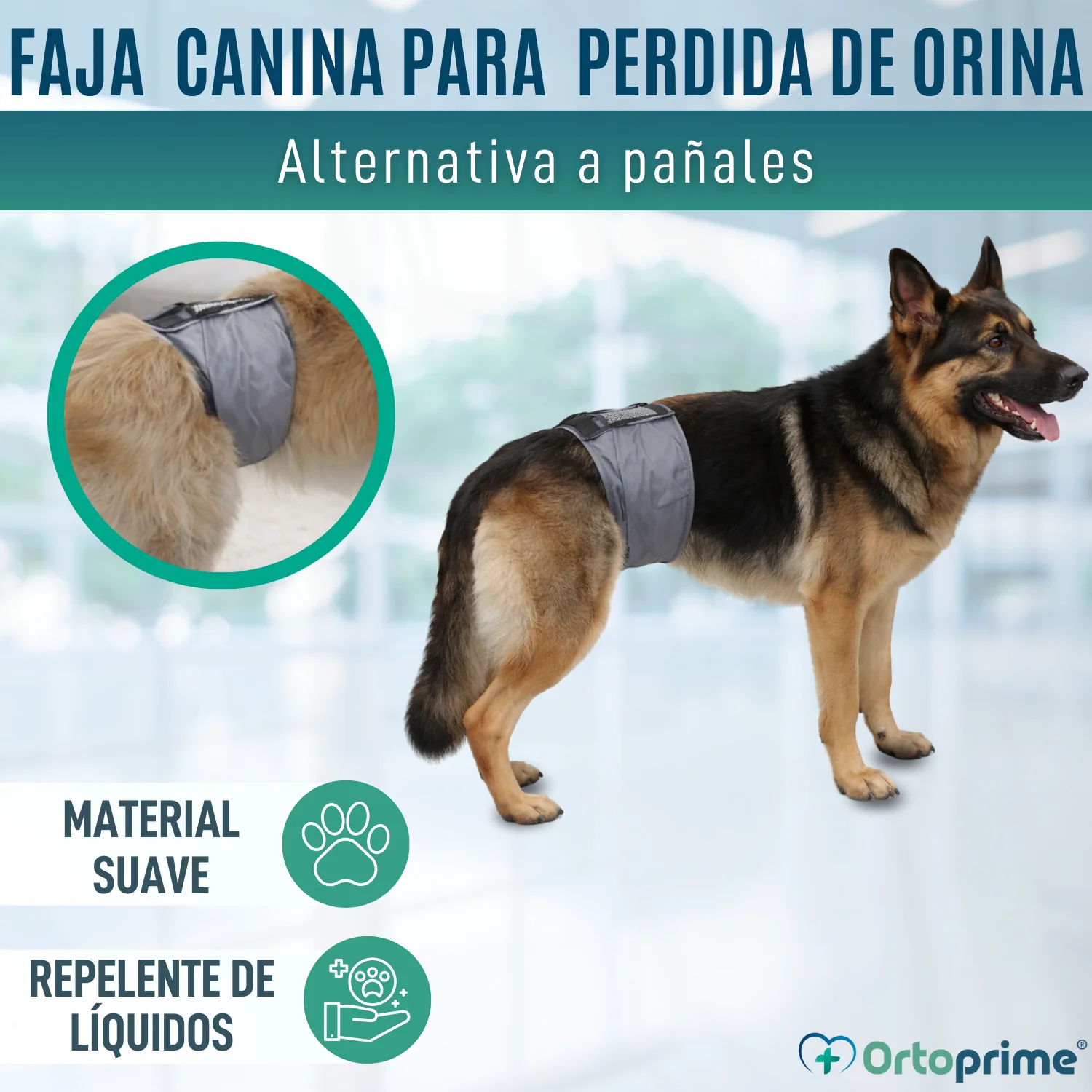 Imagen del producto 6
