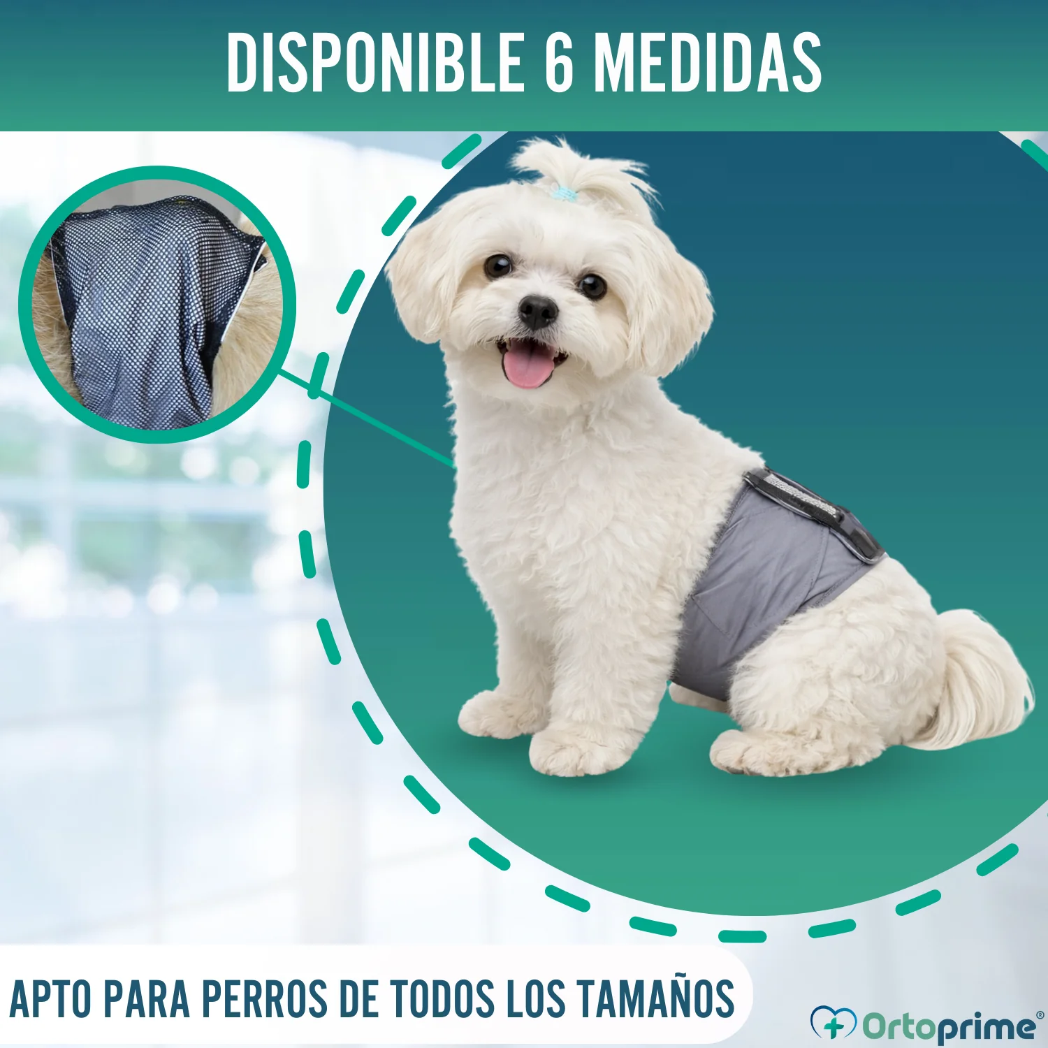 Imagen del producto 8