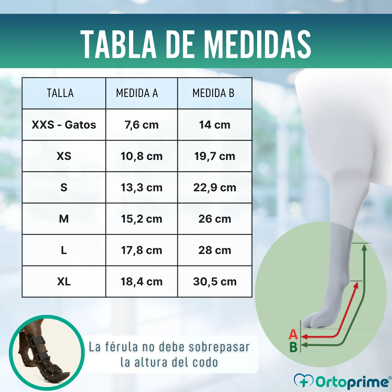 Imagen del producto 2