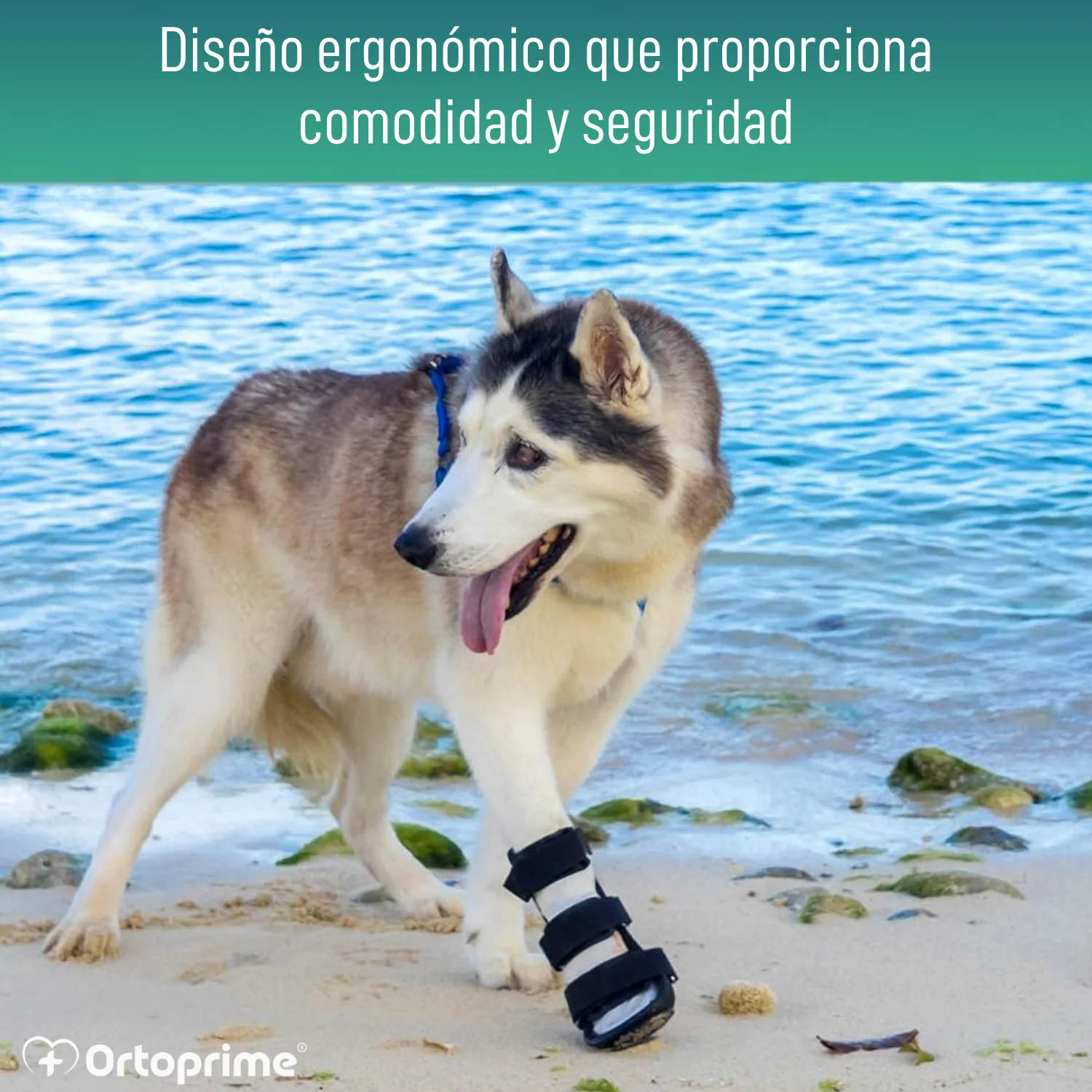 Imagen del producto 4