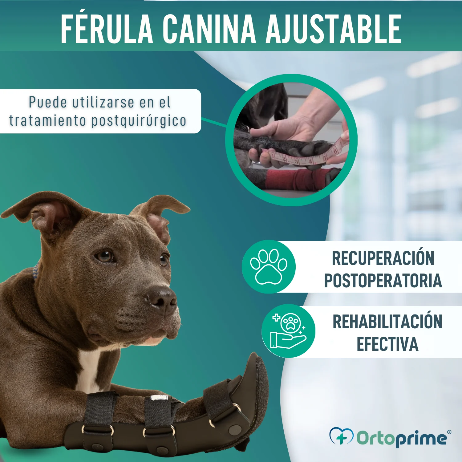 Imagen del producto 5