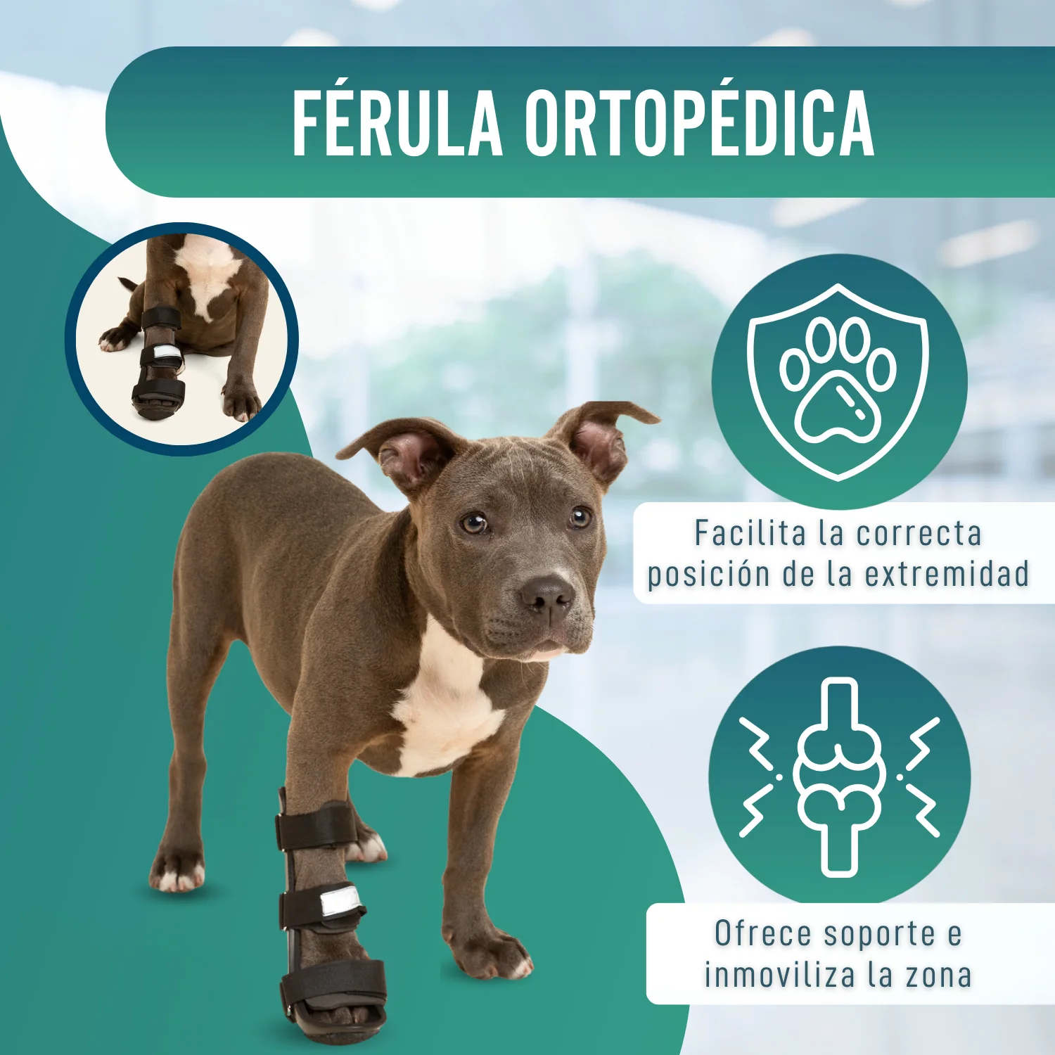 Imagen del producto 7