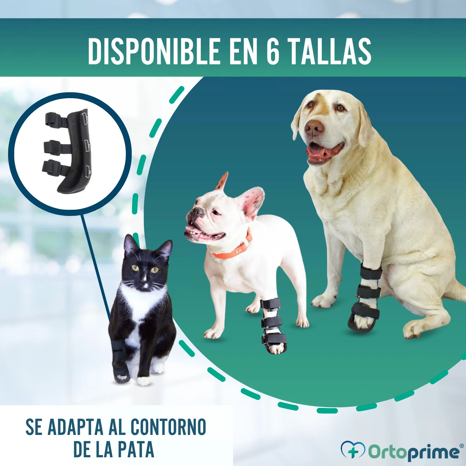 Imagen del producto 8