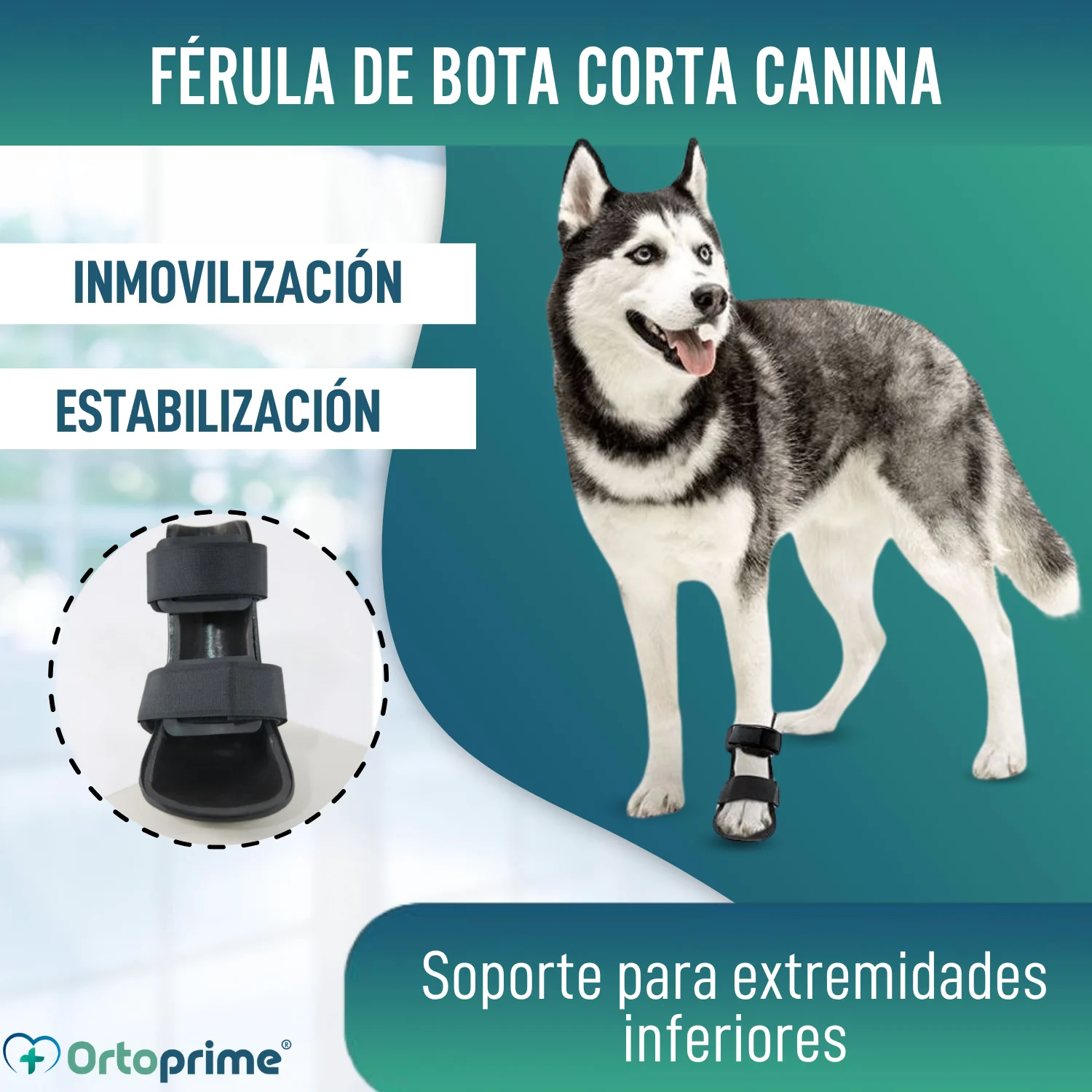 Imagen del producto 3