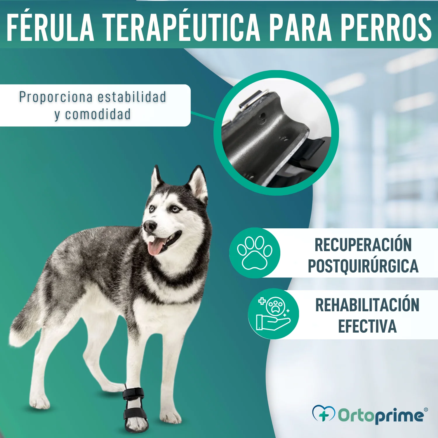 Imagen del producto 7