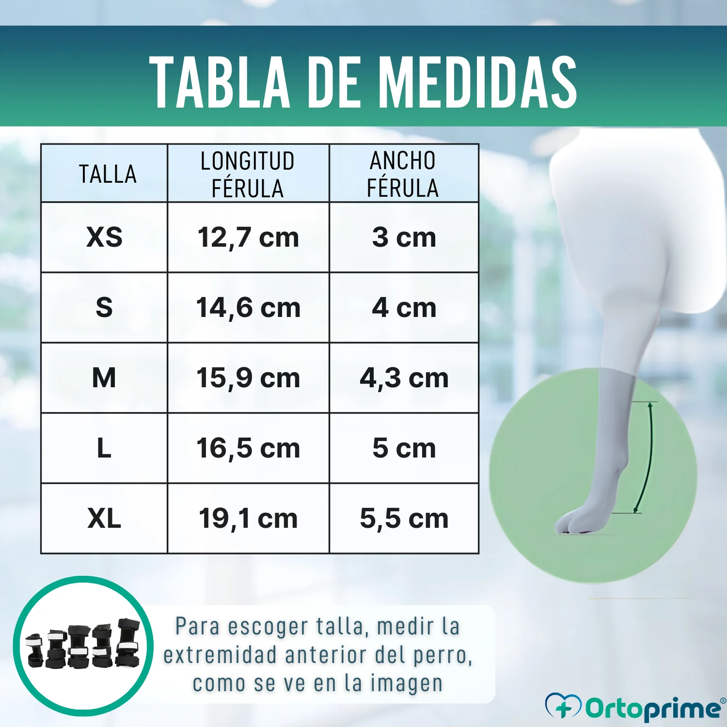 Imagen del producto 2
