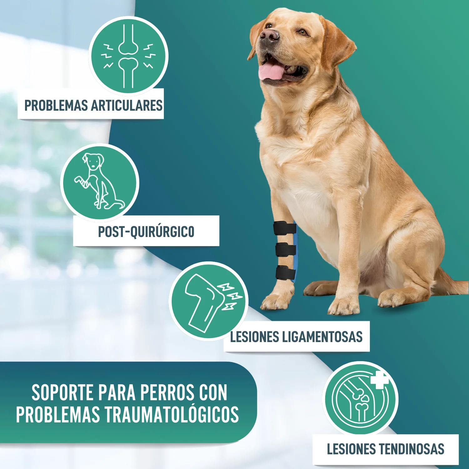 Imagen del producto 5