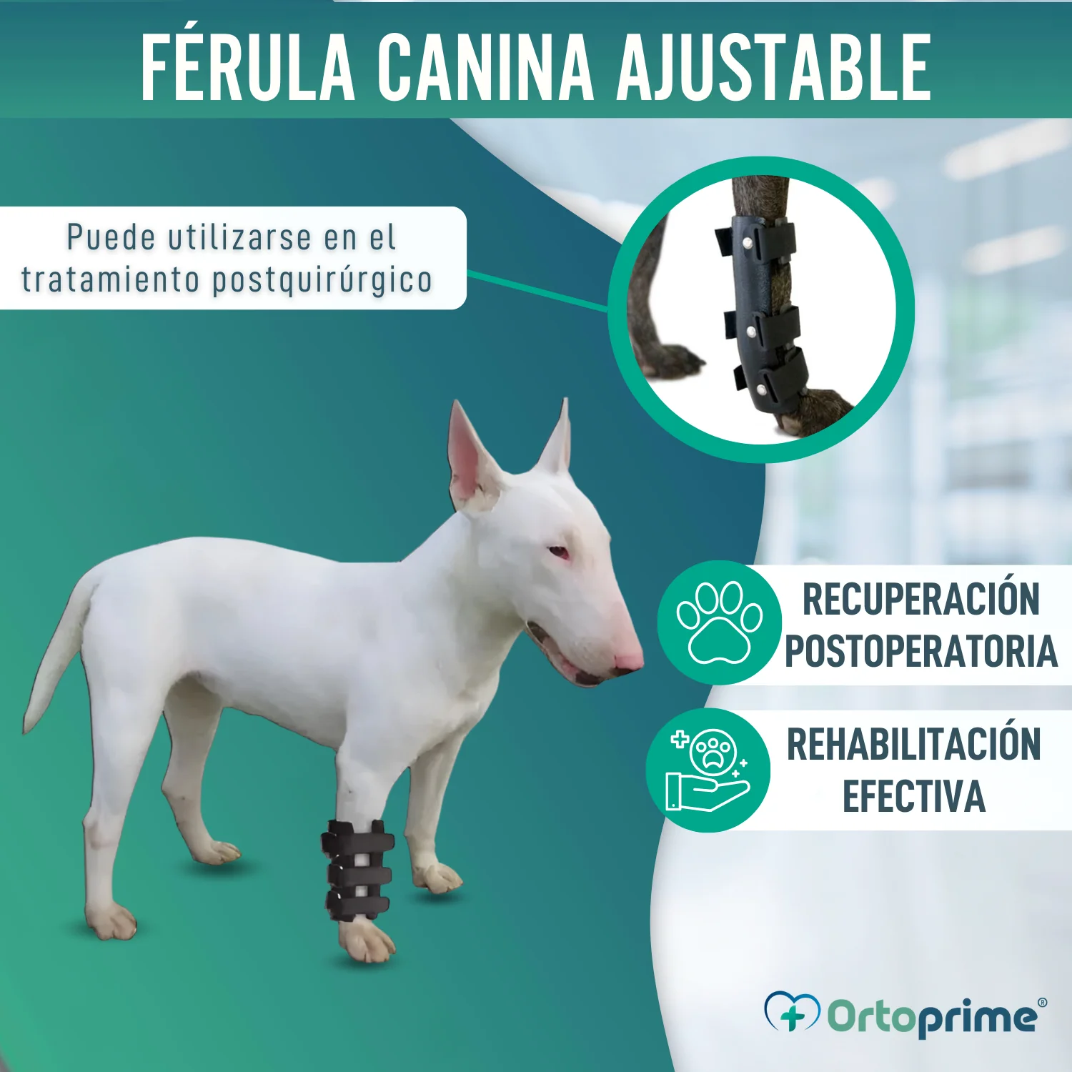 Imagen del producto 6