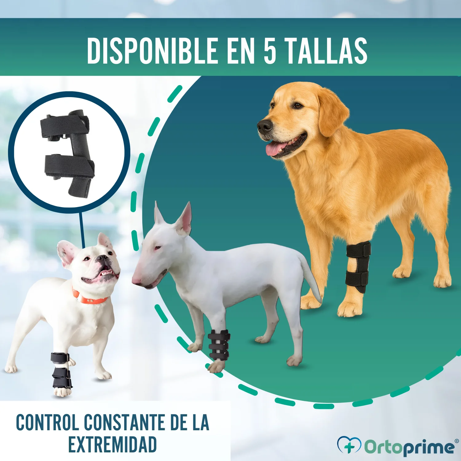 Imagen del producto 7