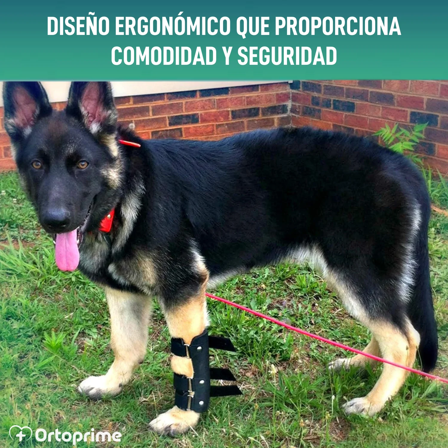 Imagen del producto 8