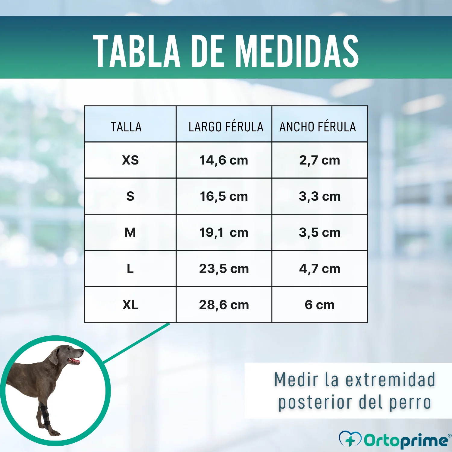 Imagen del producto 2