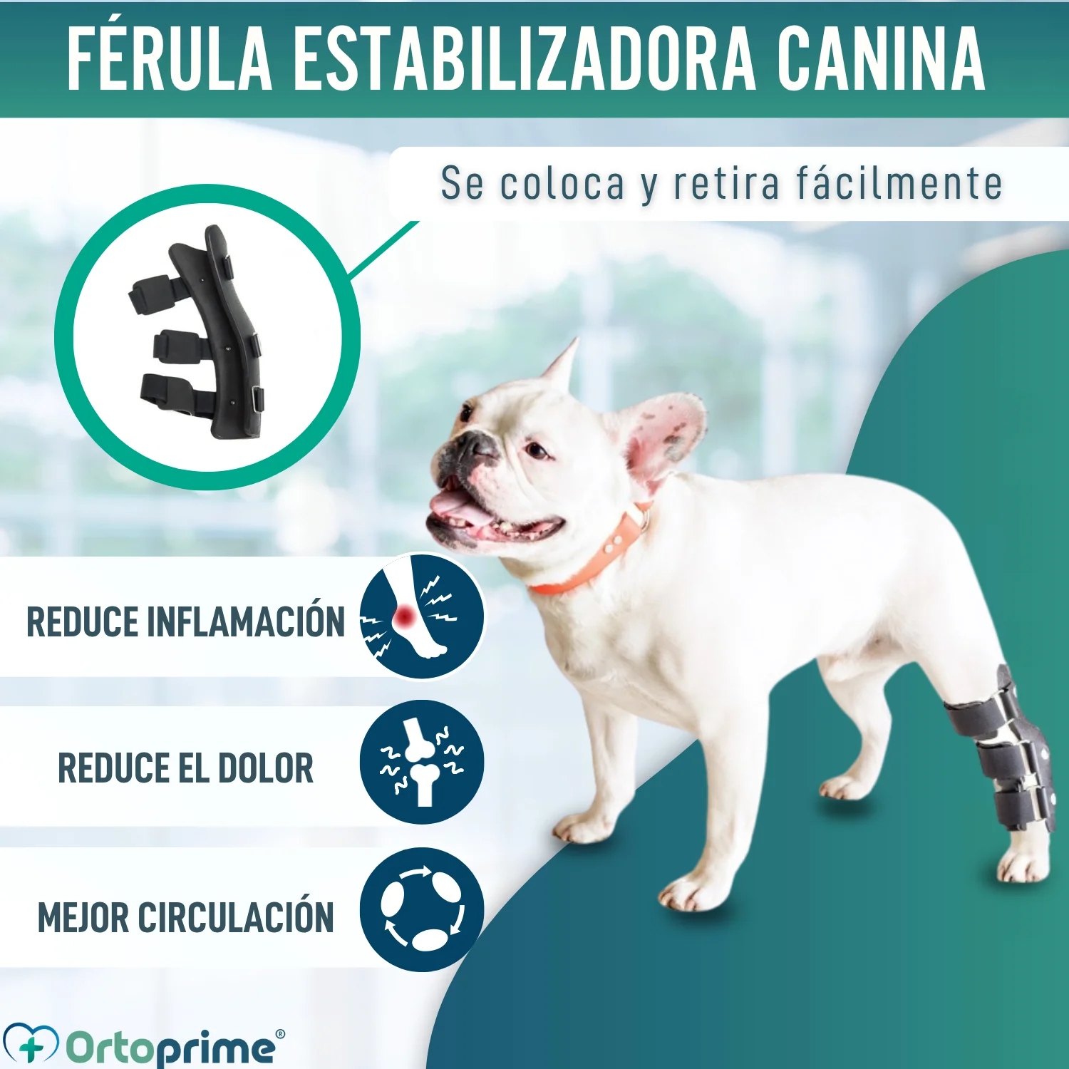 Imagen del producto 3