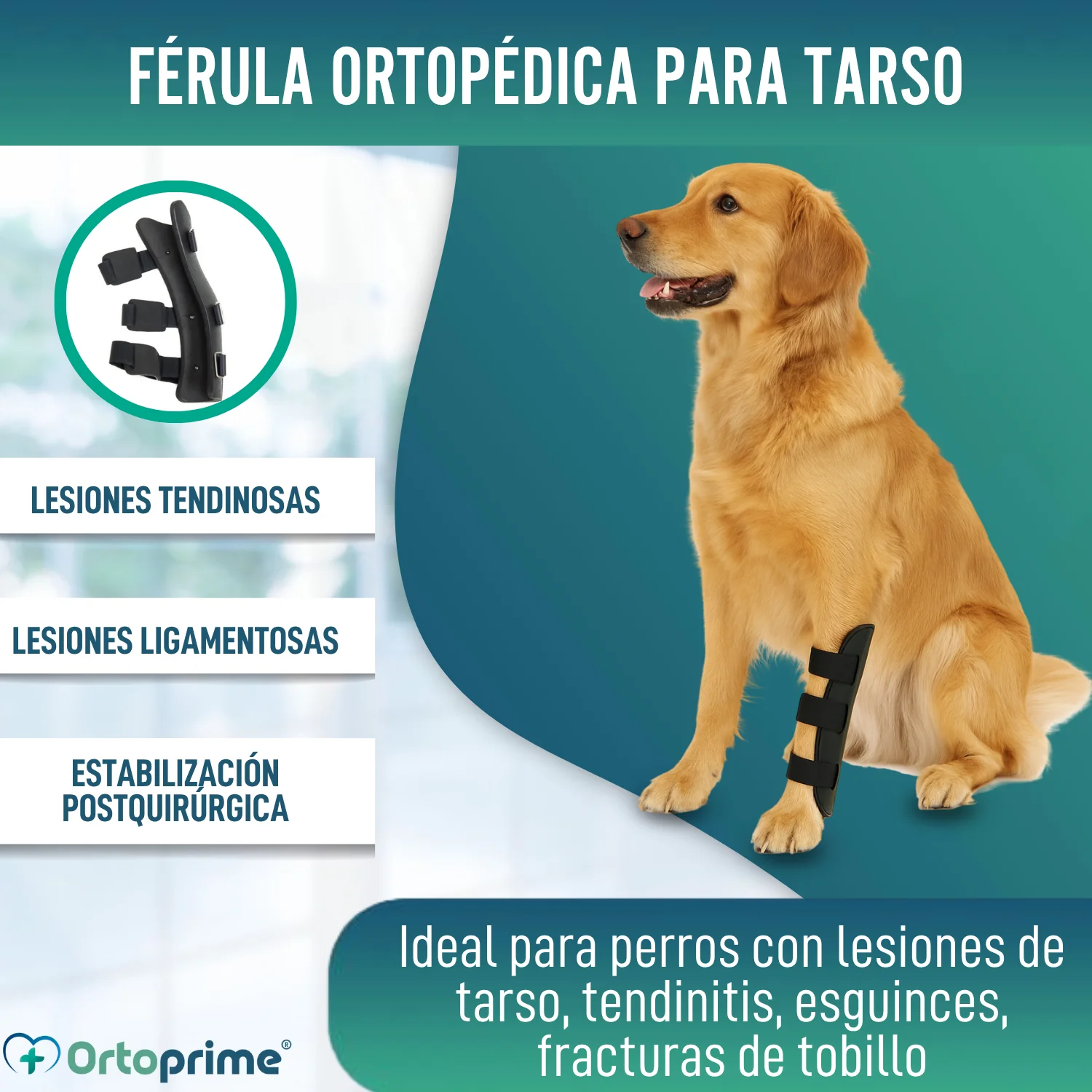 Imagen del producto 4