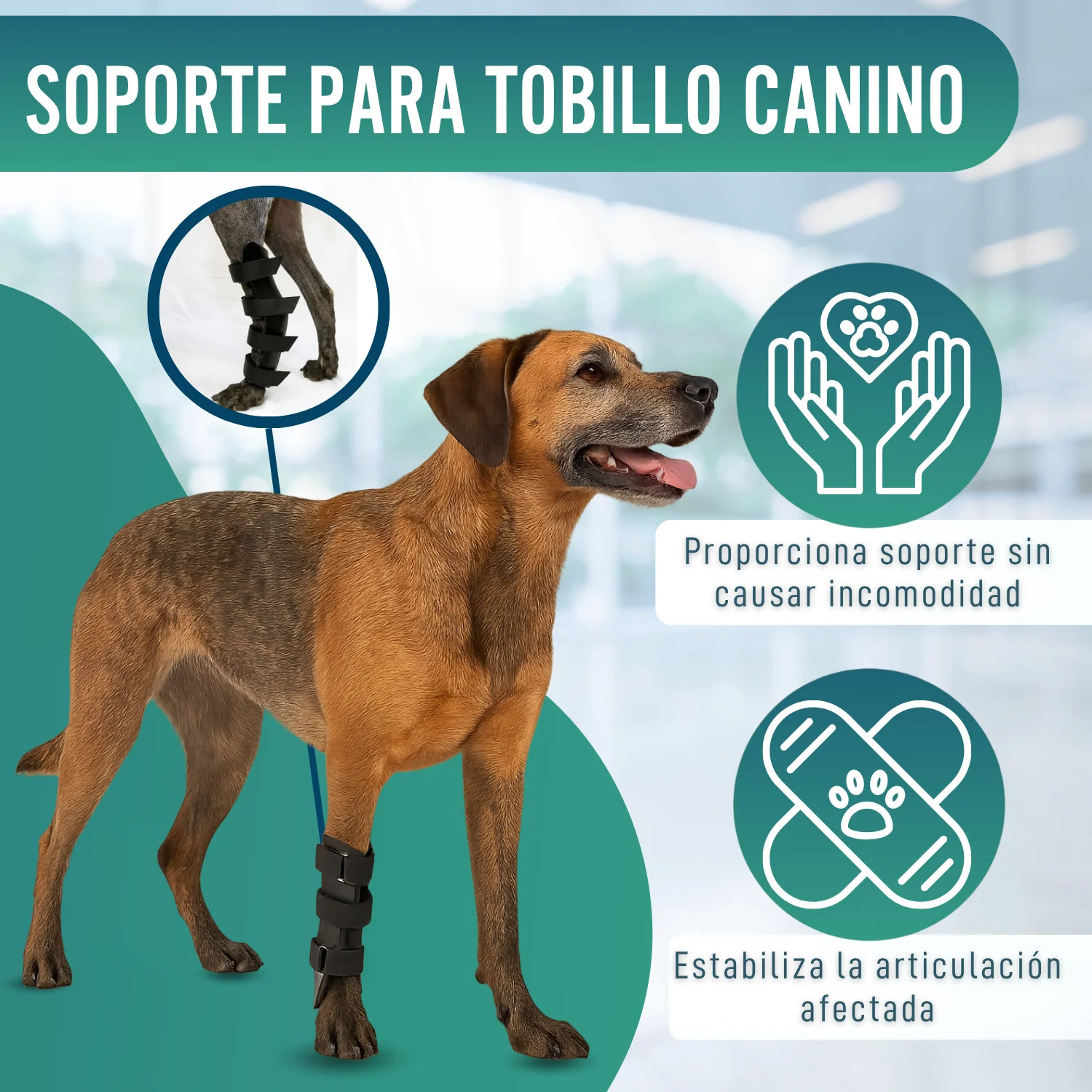 Imagen del producto 5