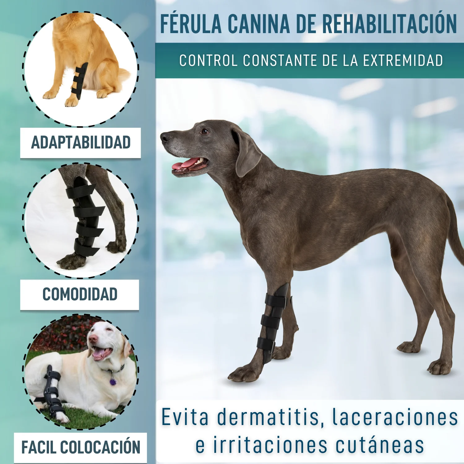Imagen del producto 7