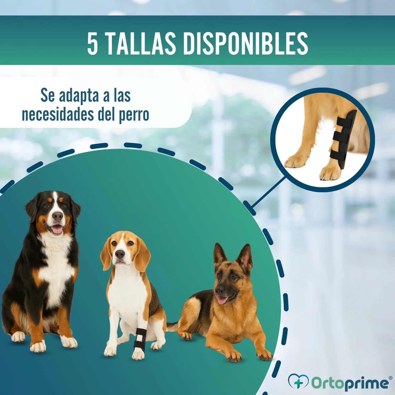 Imagen del producto 8
