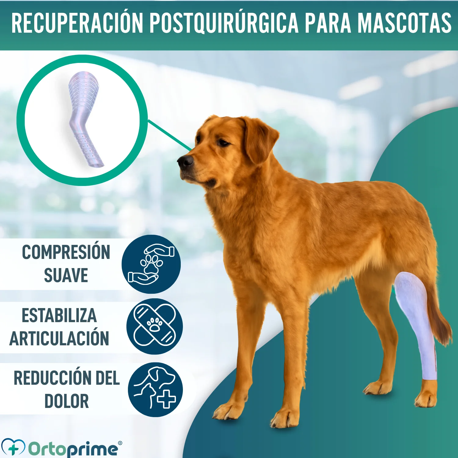 Imagen del producto 4