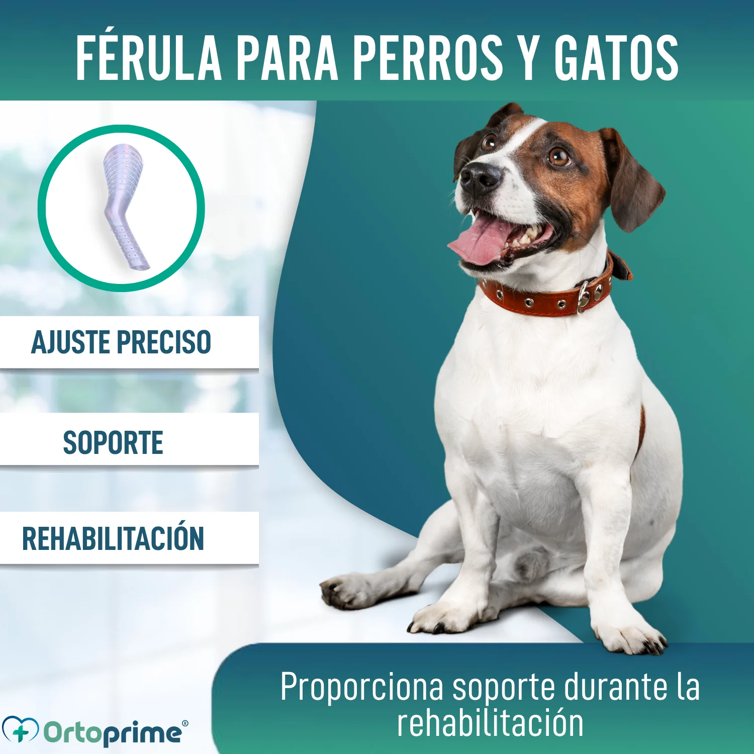 Imagen del producto 7