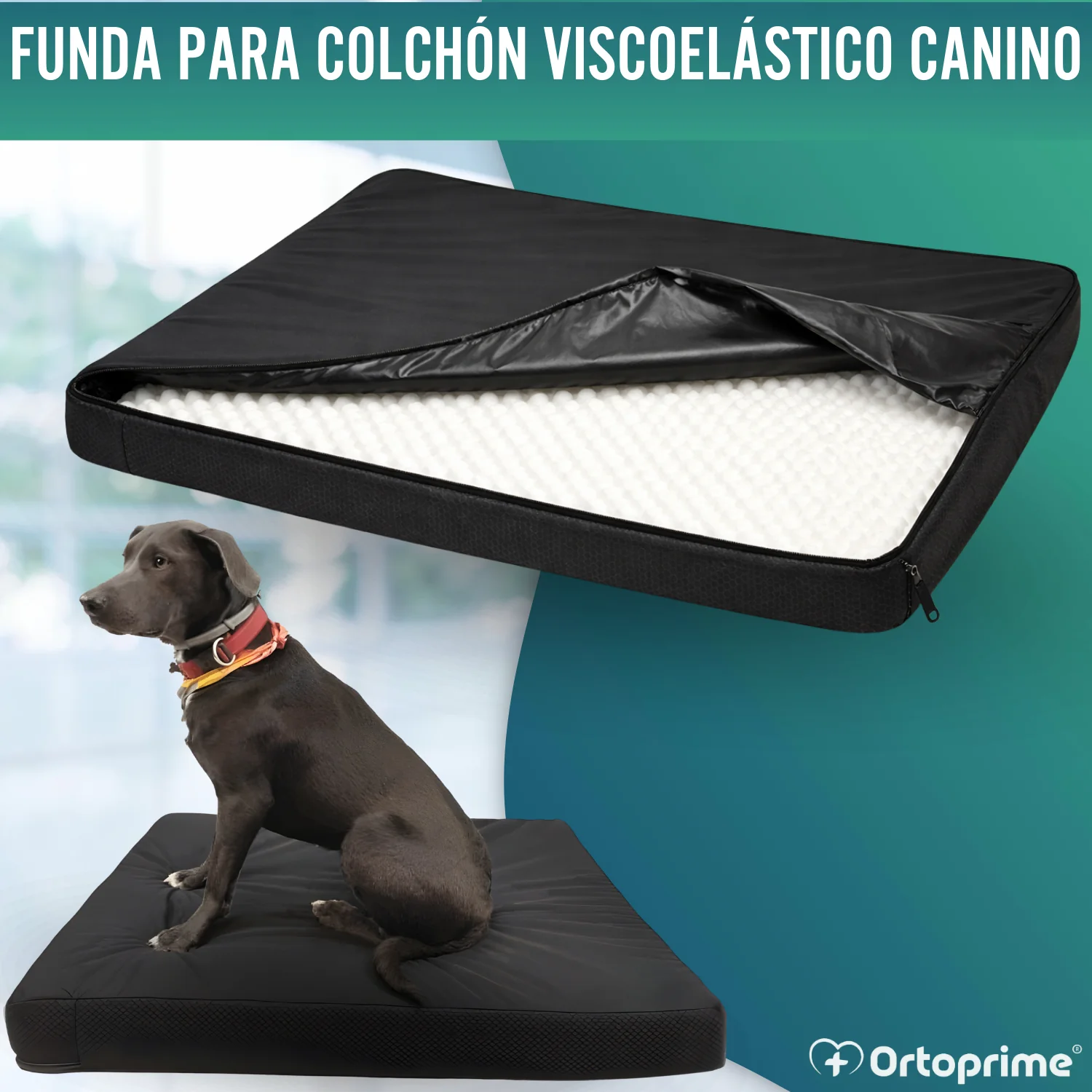 Imagen del producto 2