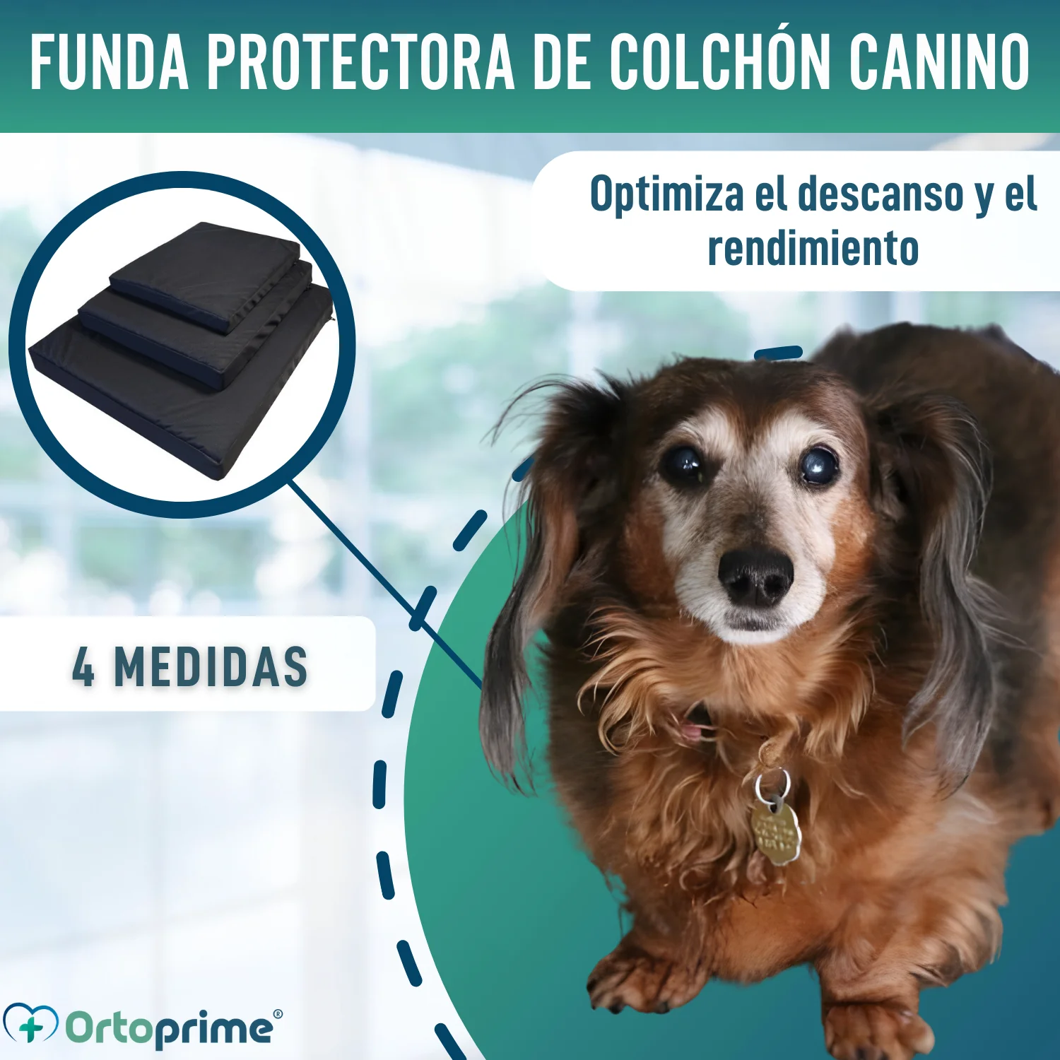 Imagen del producto 4