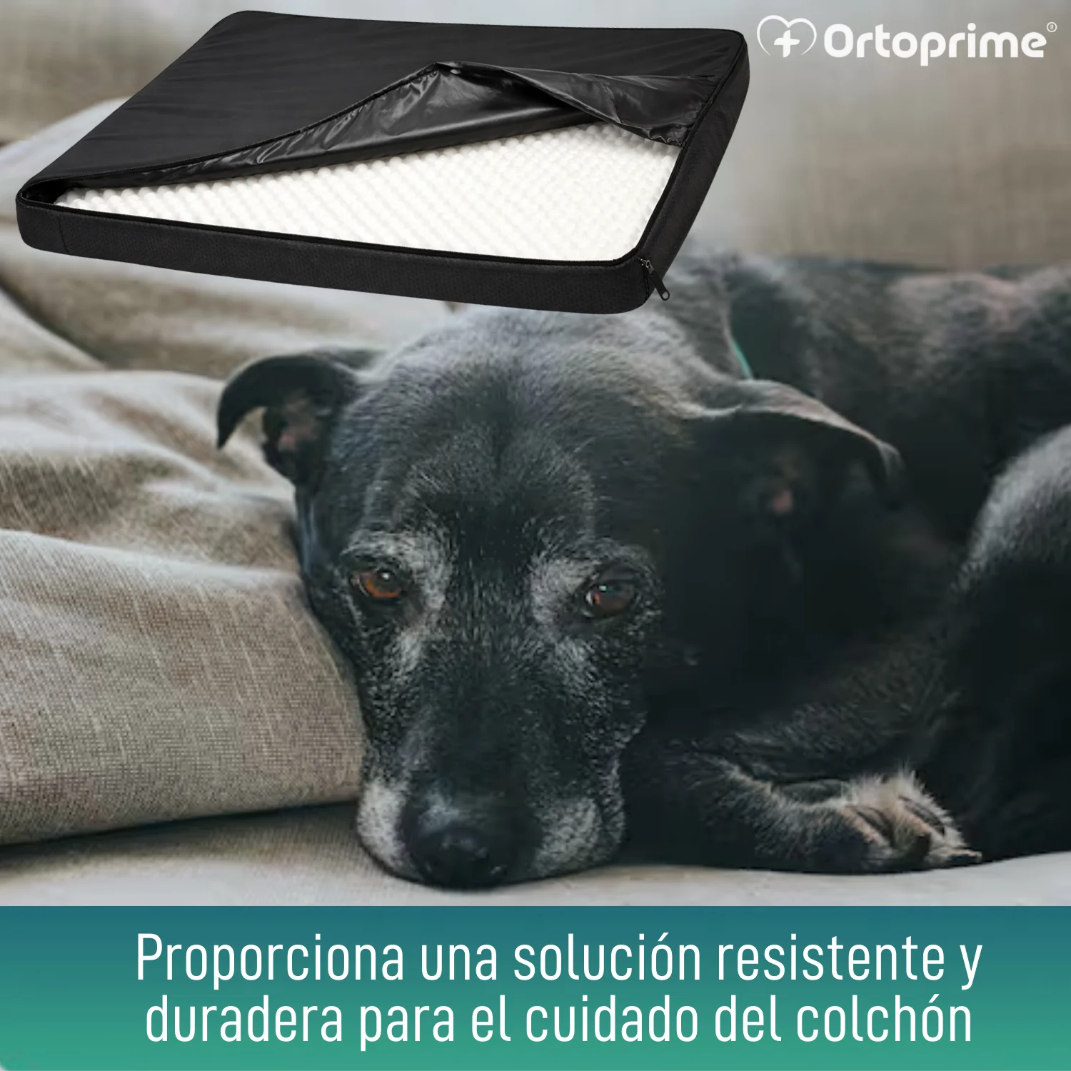 Imagen del producto 6