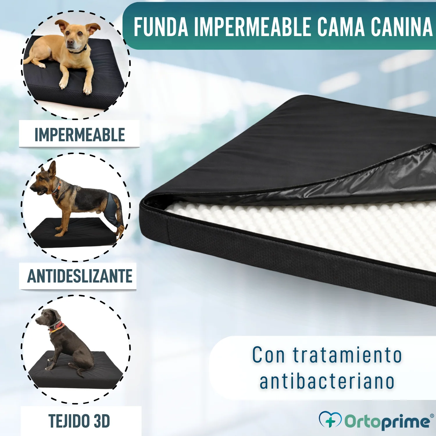 Imagen del producto 7