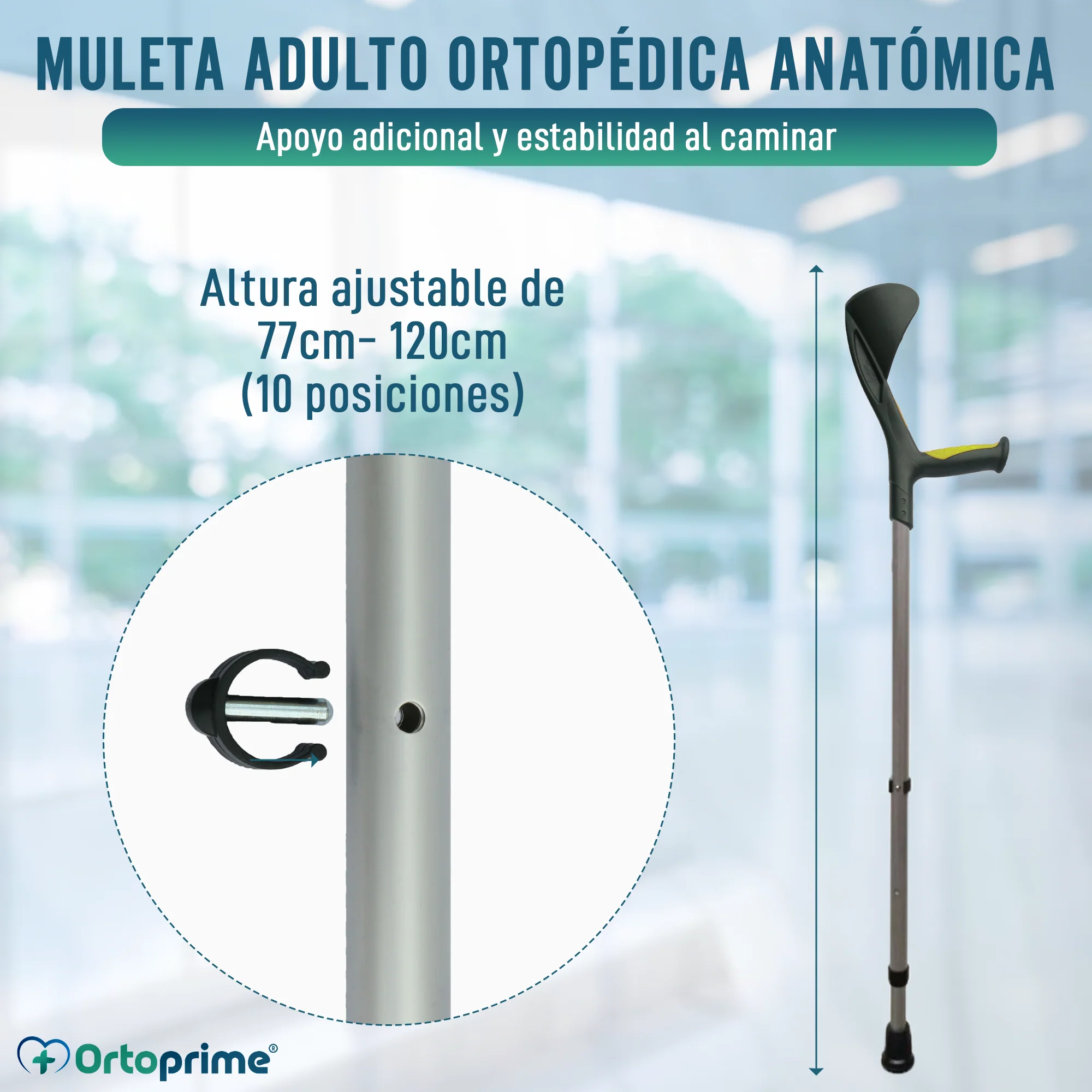 Imagen del producto 3