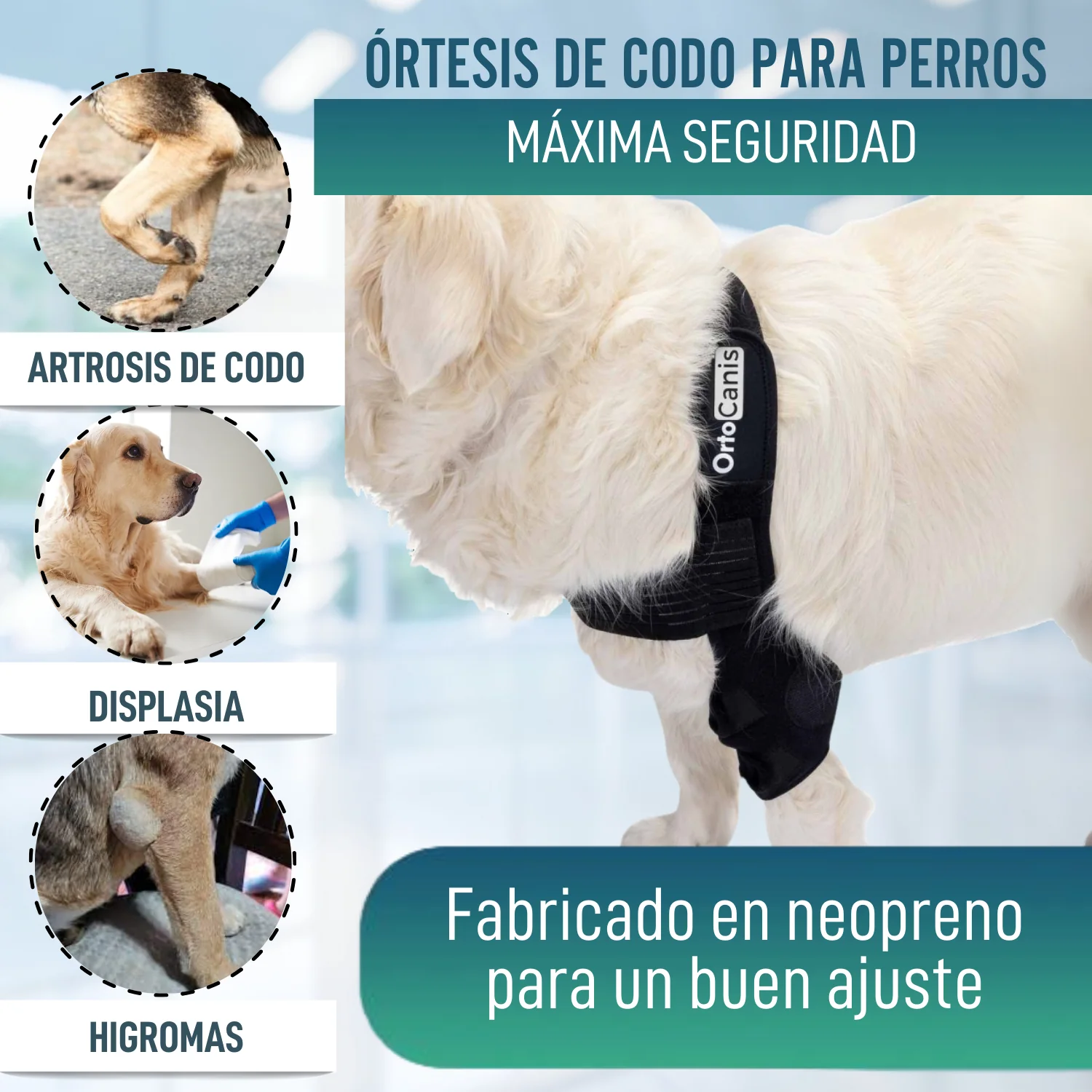 Imagen del producto 3