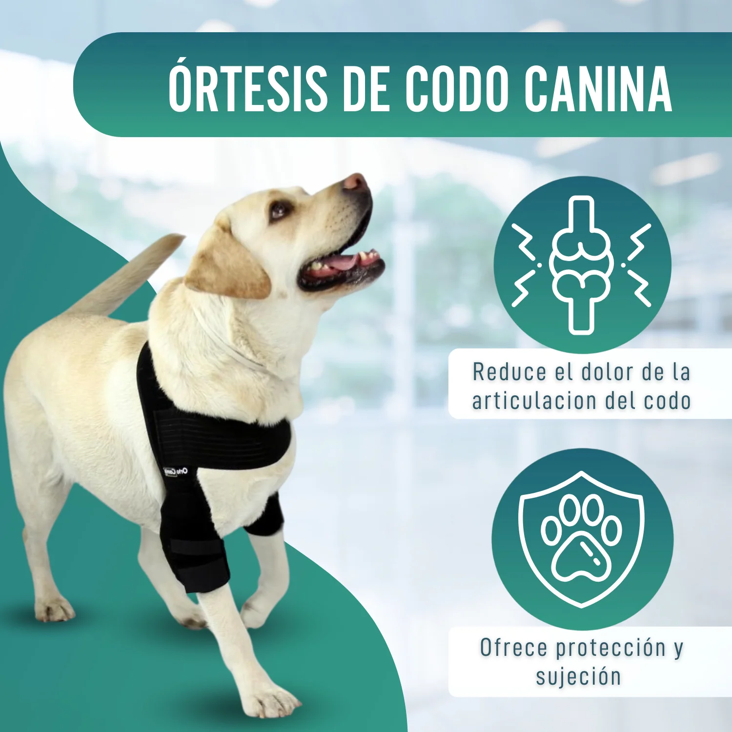 Imagen del producto 4