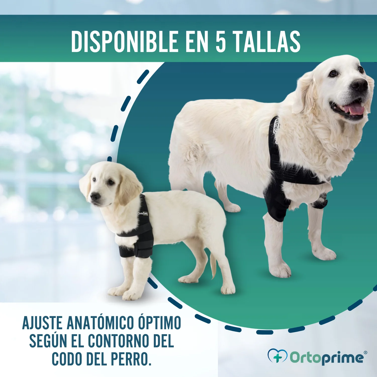 Imagen del producto 5
