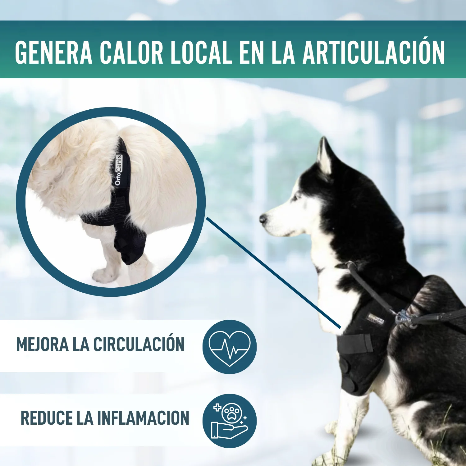 Imagen del producto 6