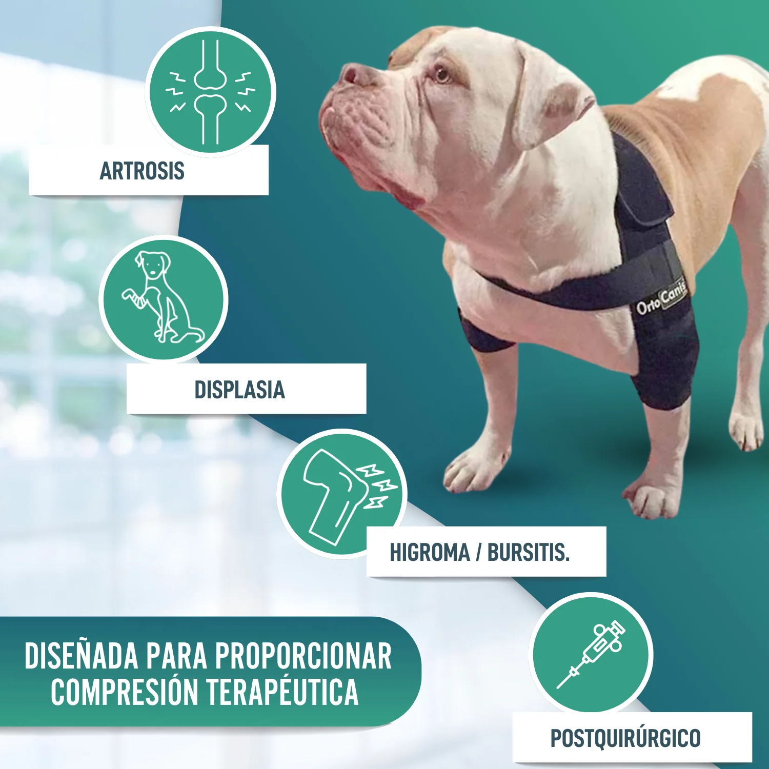 Imagen del producto 8