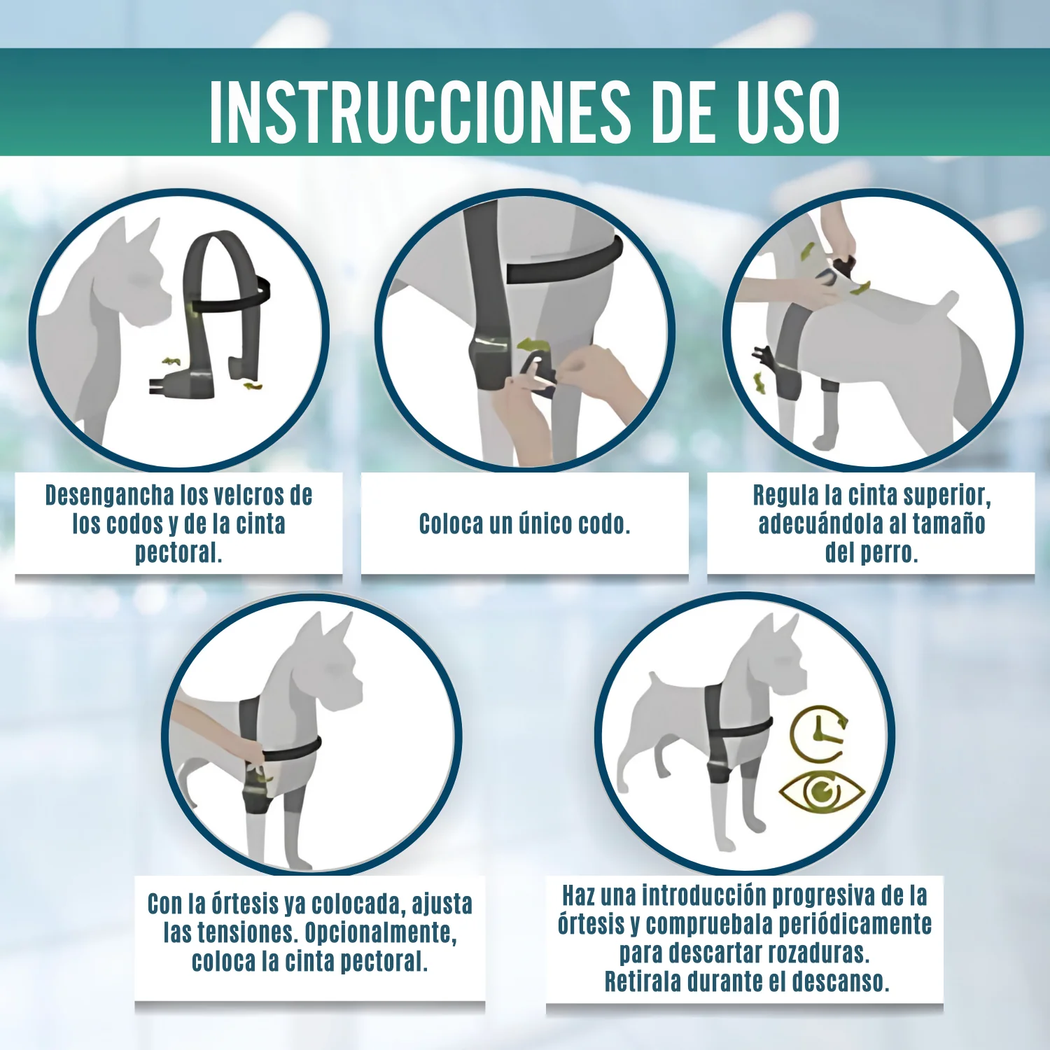 Imagen del producto 9
