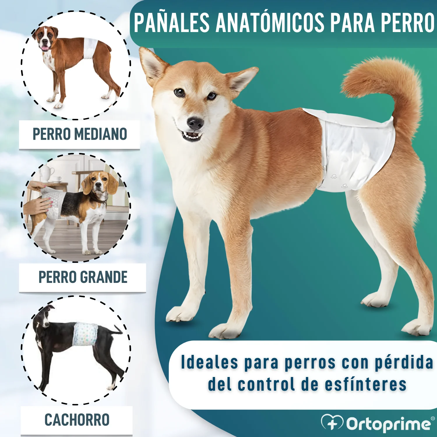 Imagen del producto 3