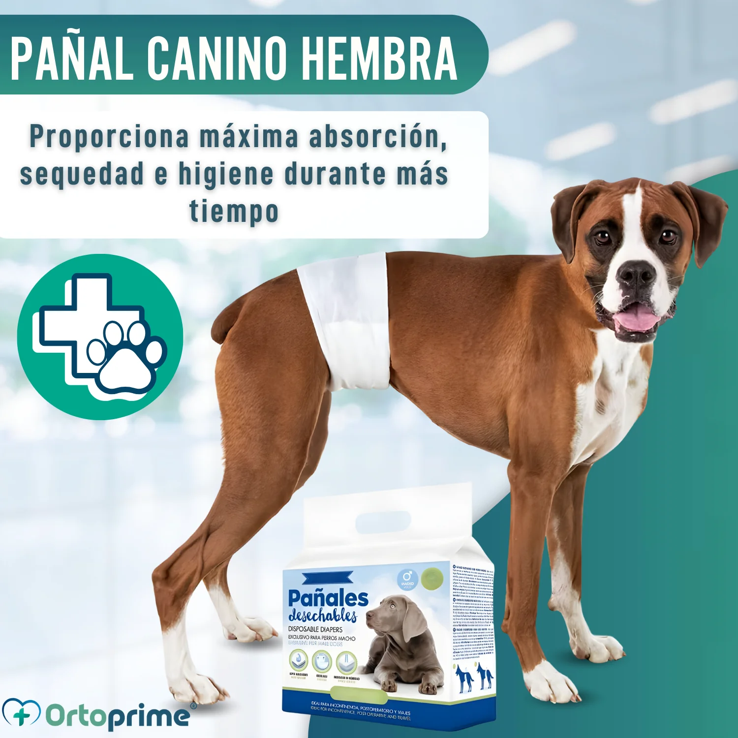 Imagen del producto 5