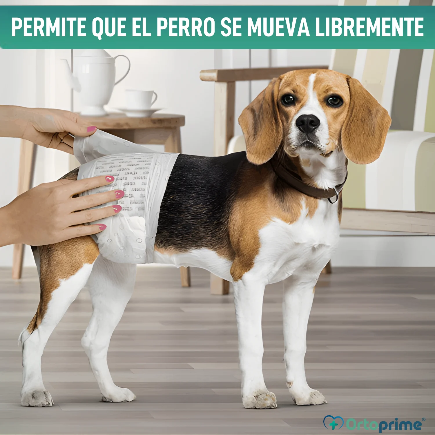 Imagen del producto 7
