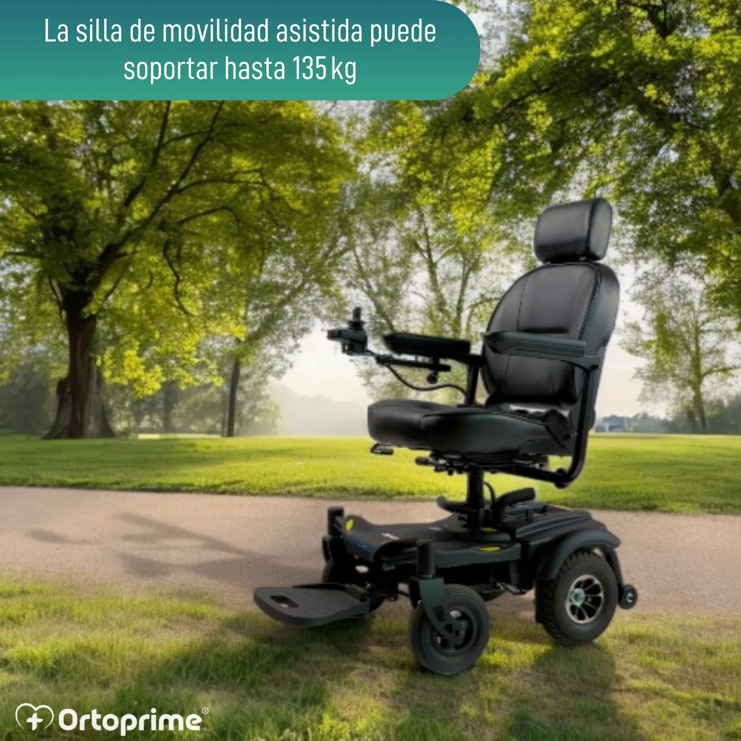 Imagen del producto 8