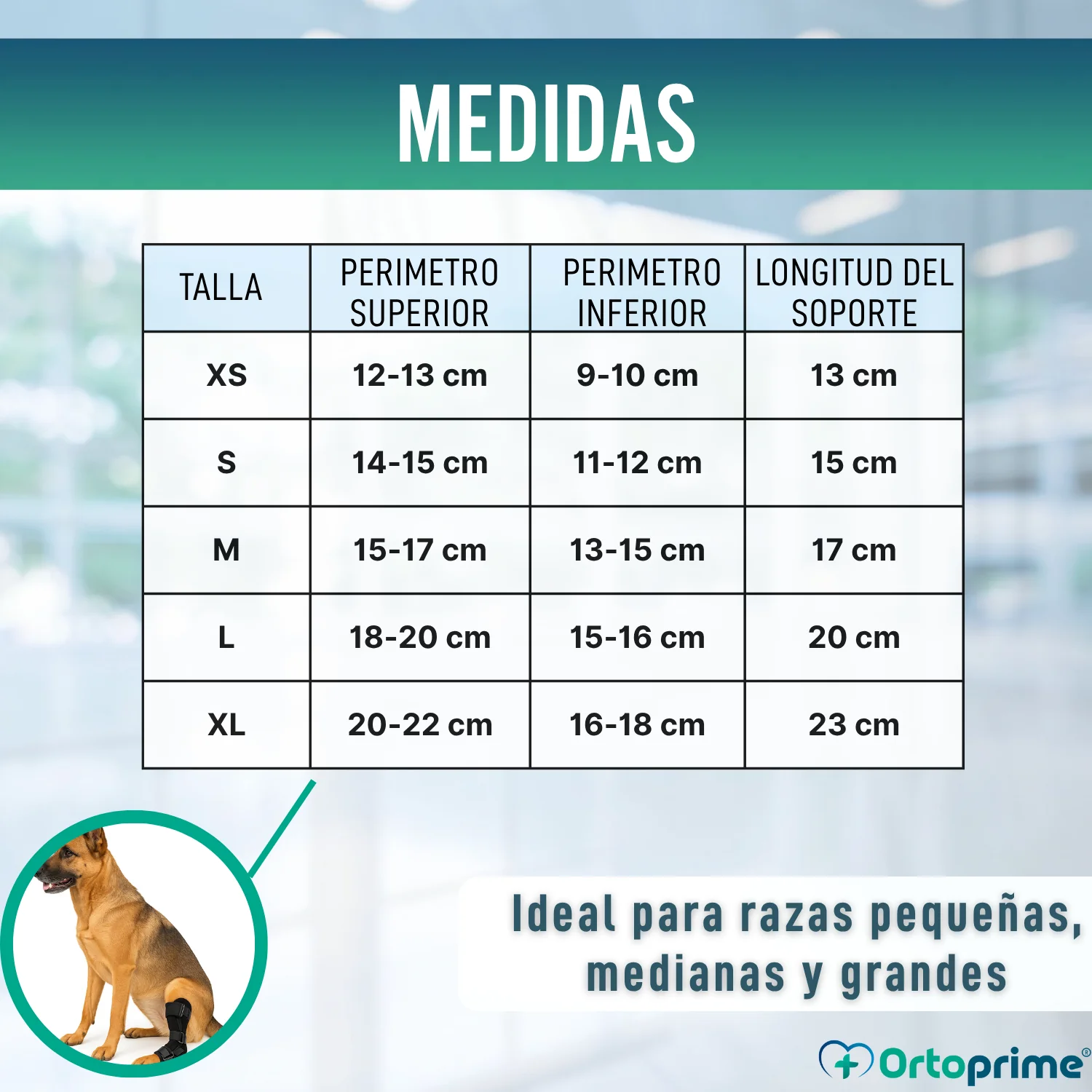 Imagen del producto 2
