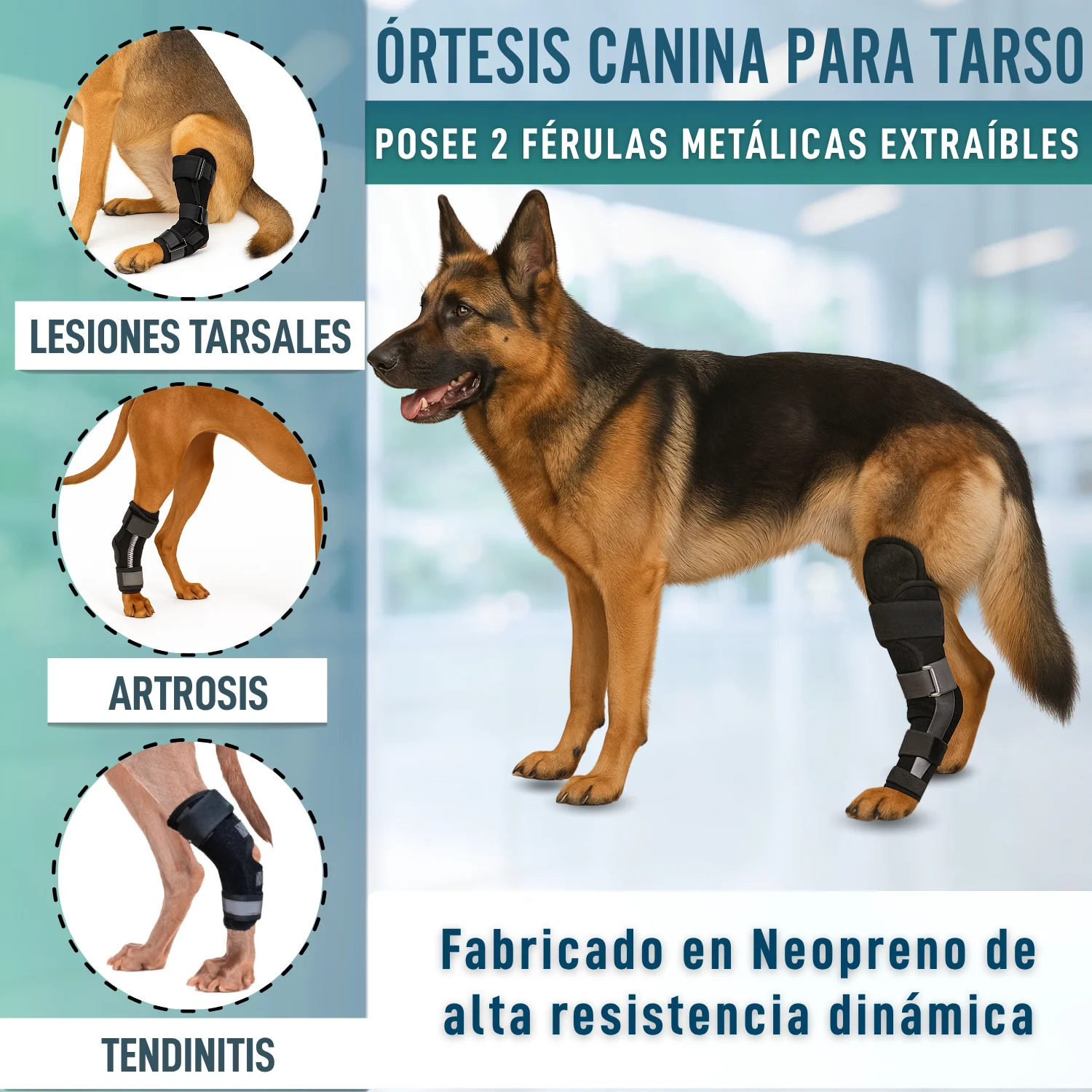 Imagen del producto 4