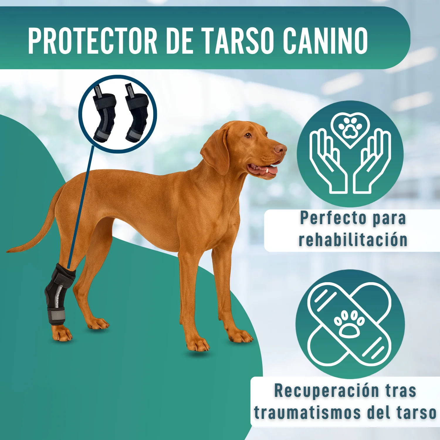 Imagen del producto 7