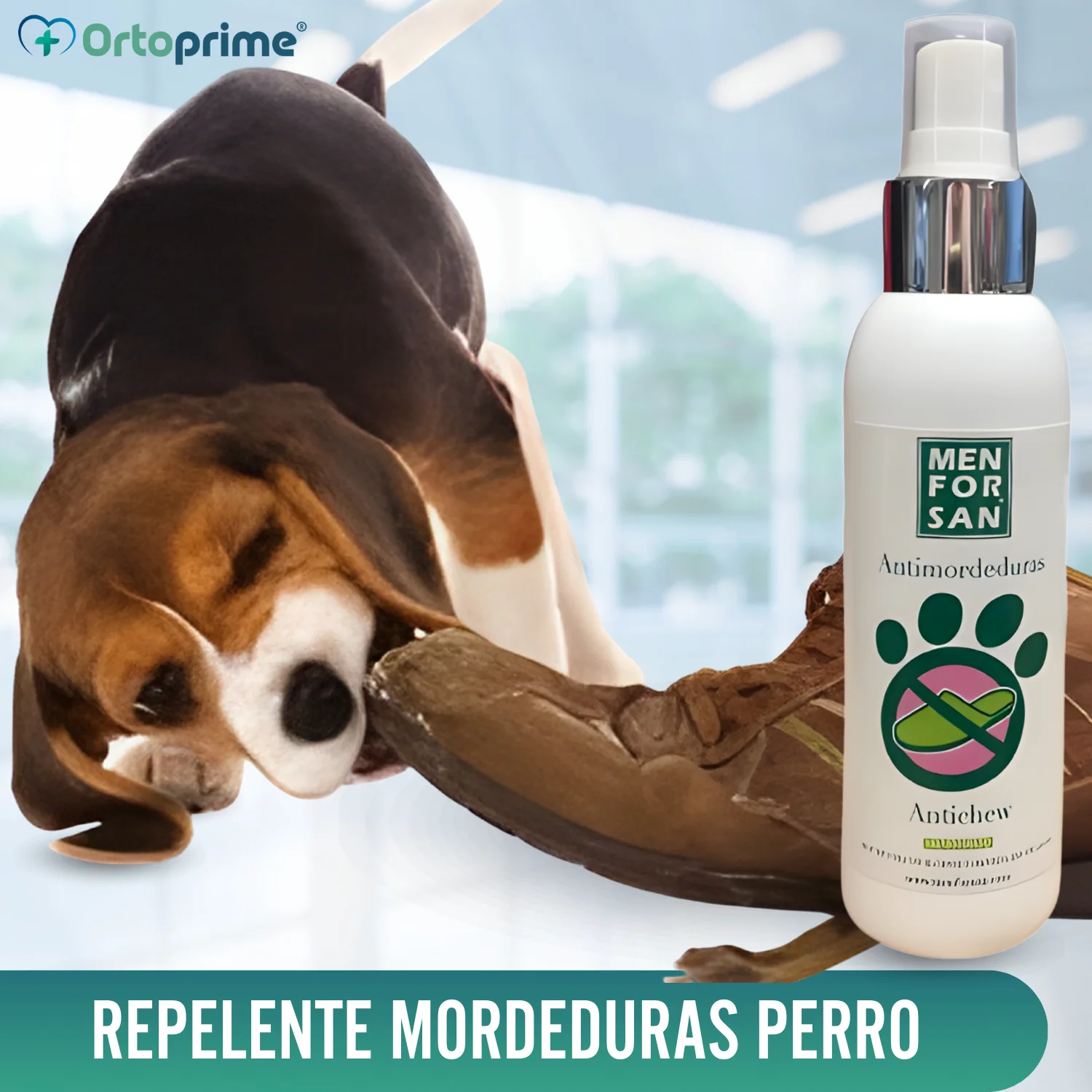Imagen del producto 6